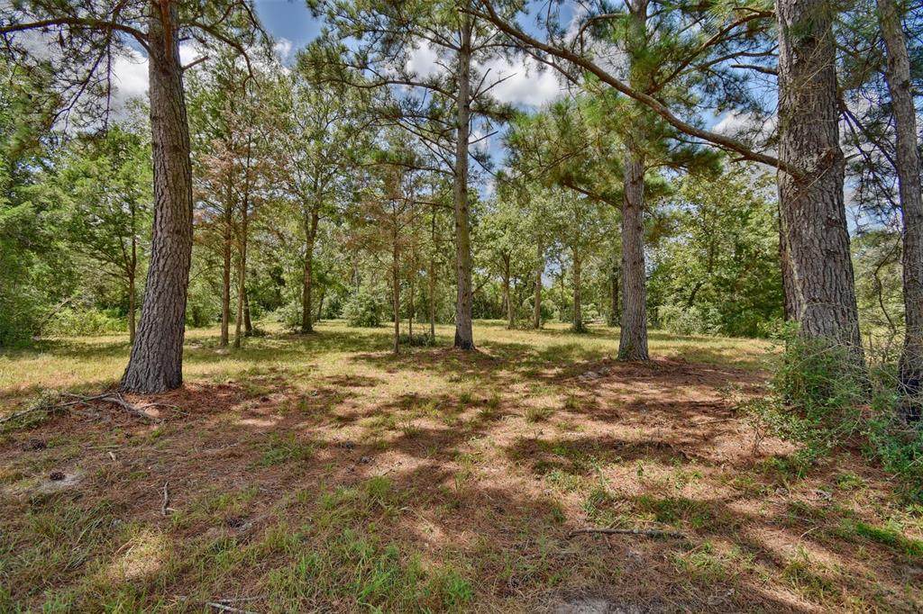 8077 Jared Road - Photo 1