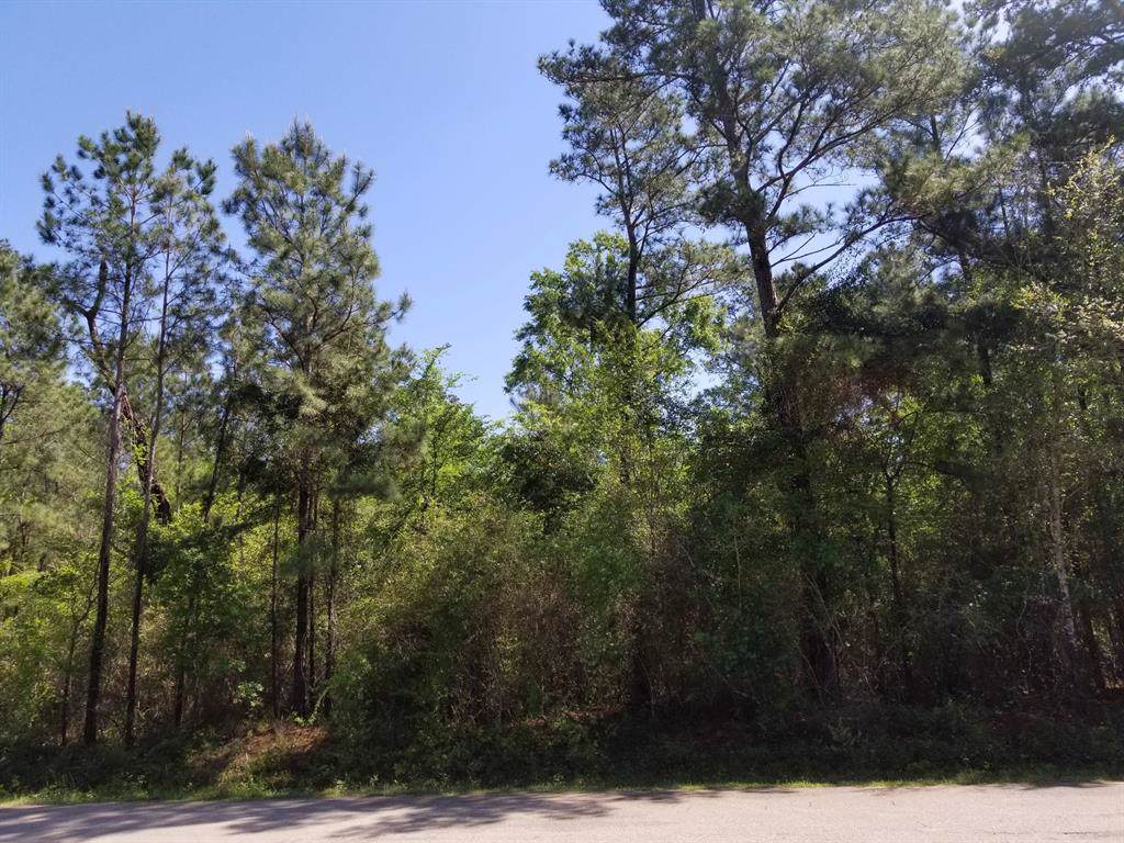 0 Highland Boulevard - Photo 1