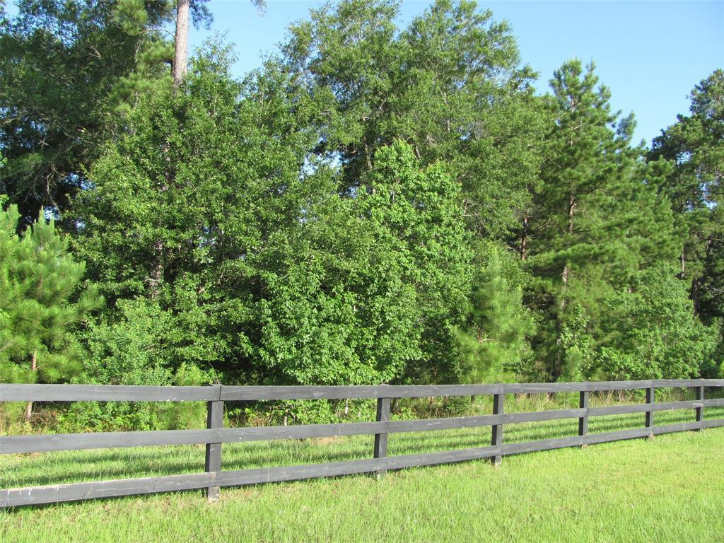 11256 Blue Grass Way - Photo 1