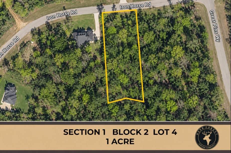 284 Iron Horse Road - Photo 1