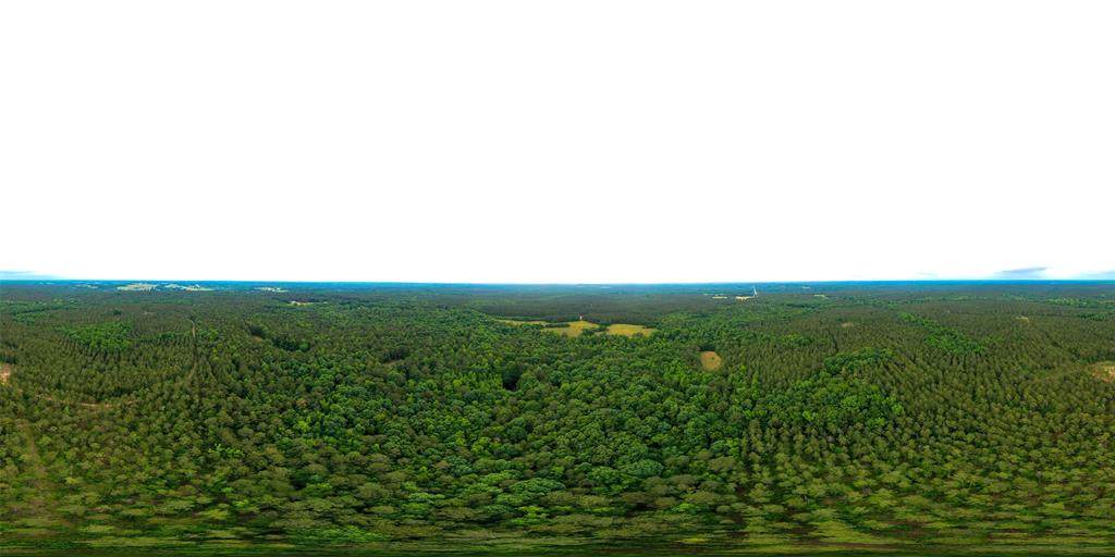 8548 Elberton Highway - Photo 1