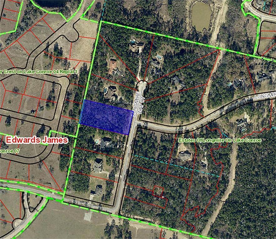 0 Longmire Way Court - Photo 1