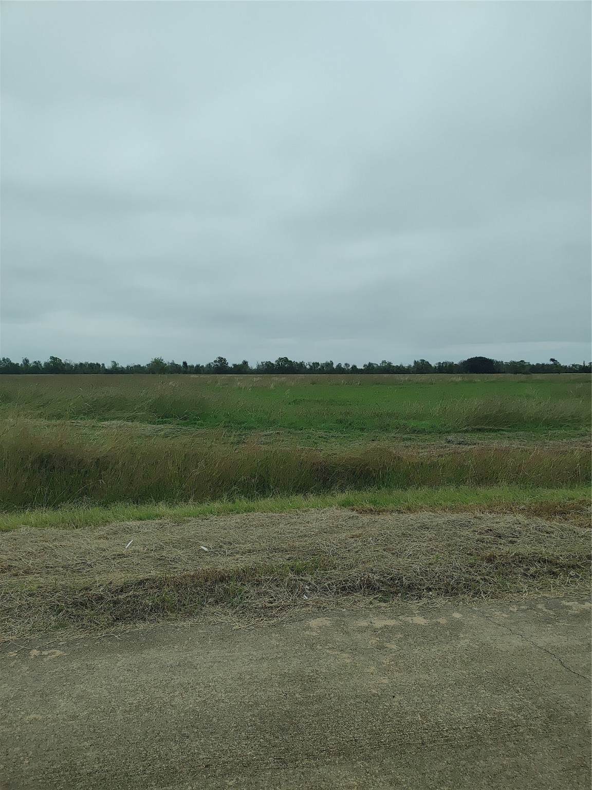 Lot 128 Stampede Trail - Photo 1