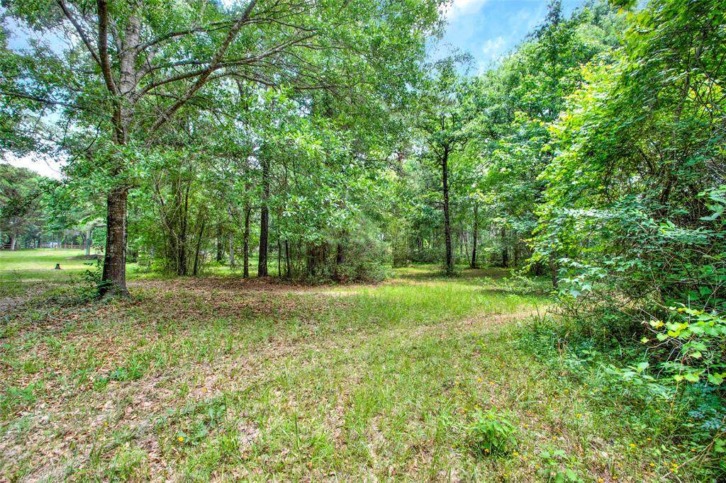 719 Dogwood Trail - Photo 1