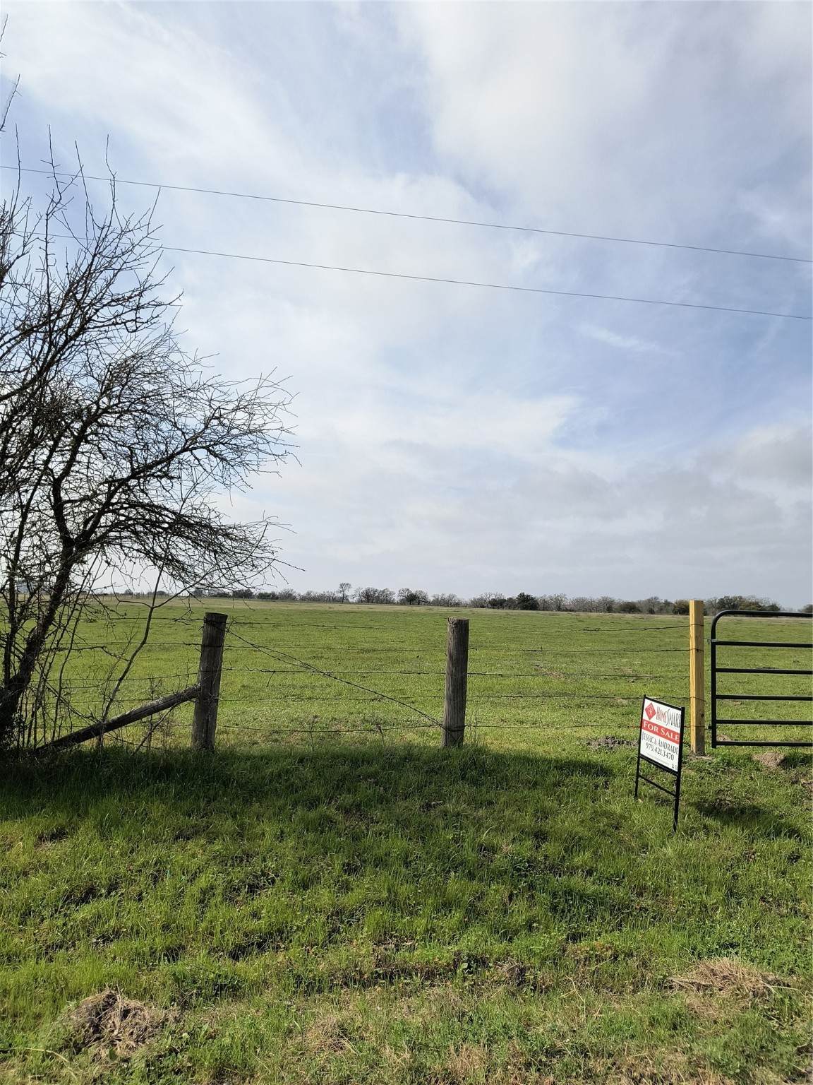 0000 County Road 274 - Photo 1