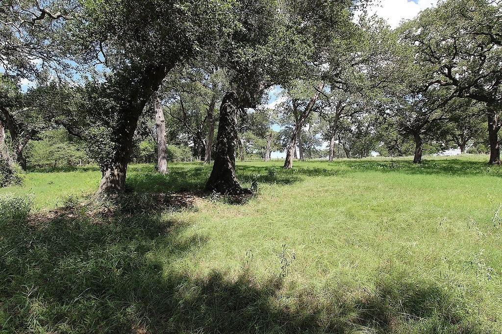 1801 Fm 1383 - Photo 1