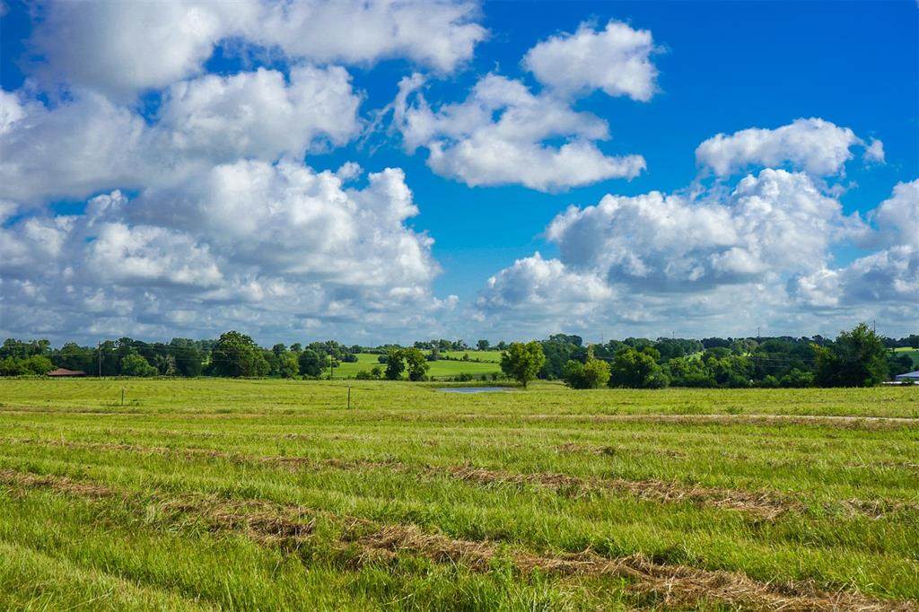 Lot 19 Fm 149 Road - Photo 1