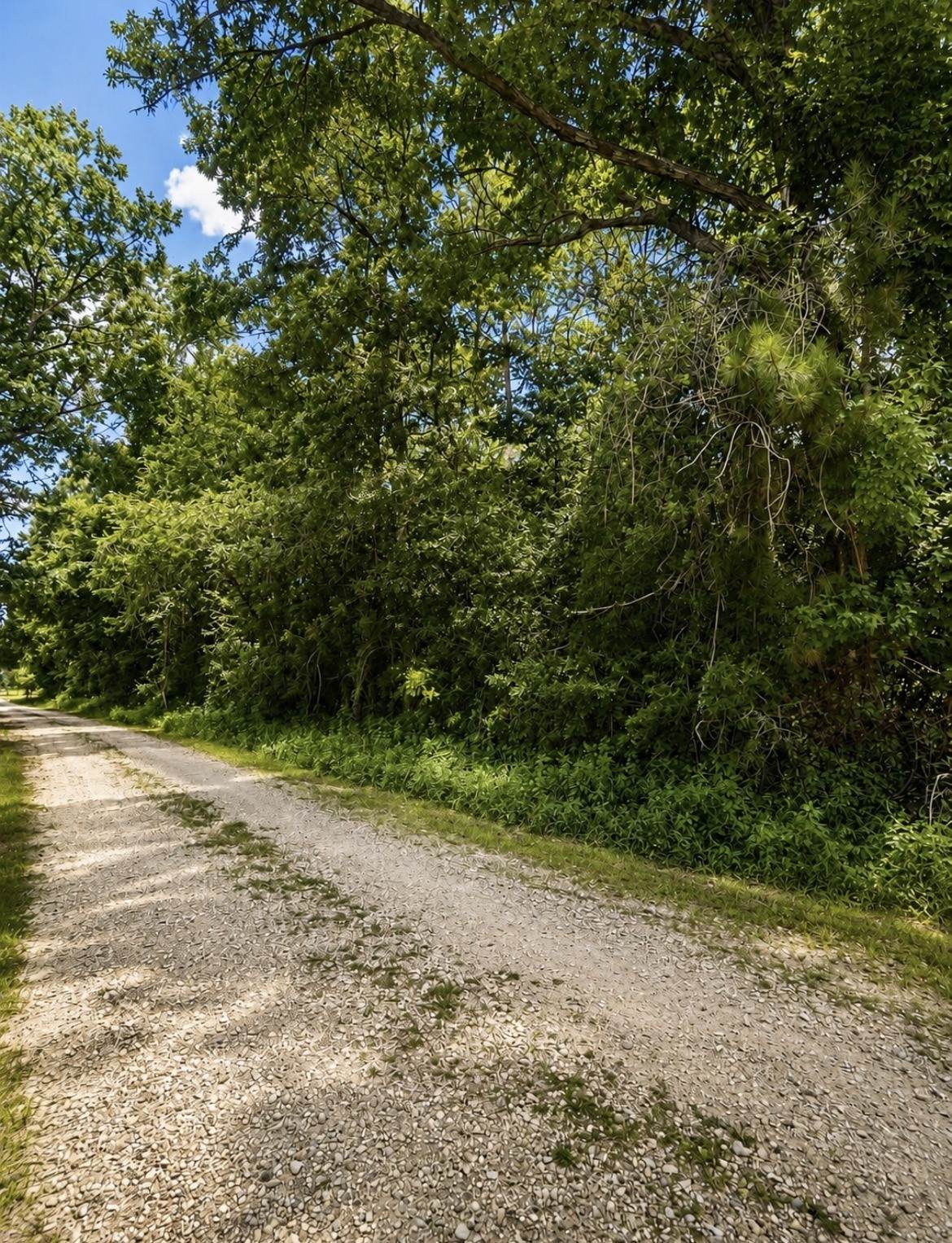 1224 Plum Pudding Road - Photo 1