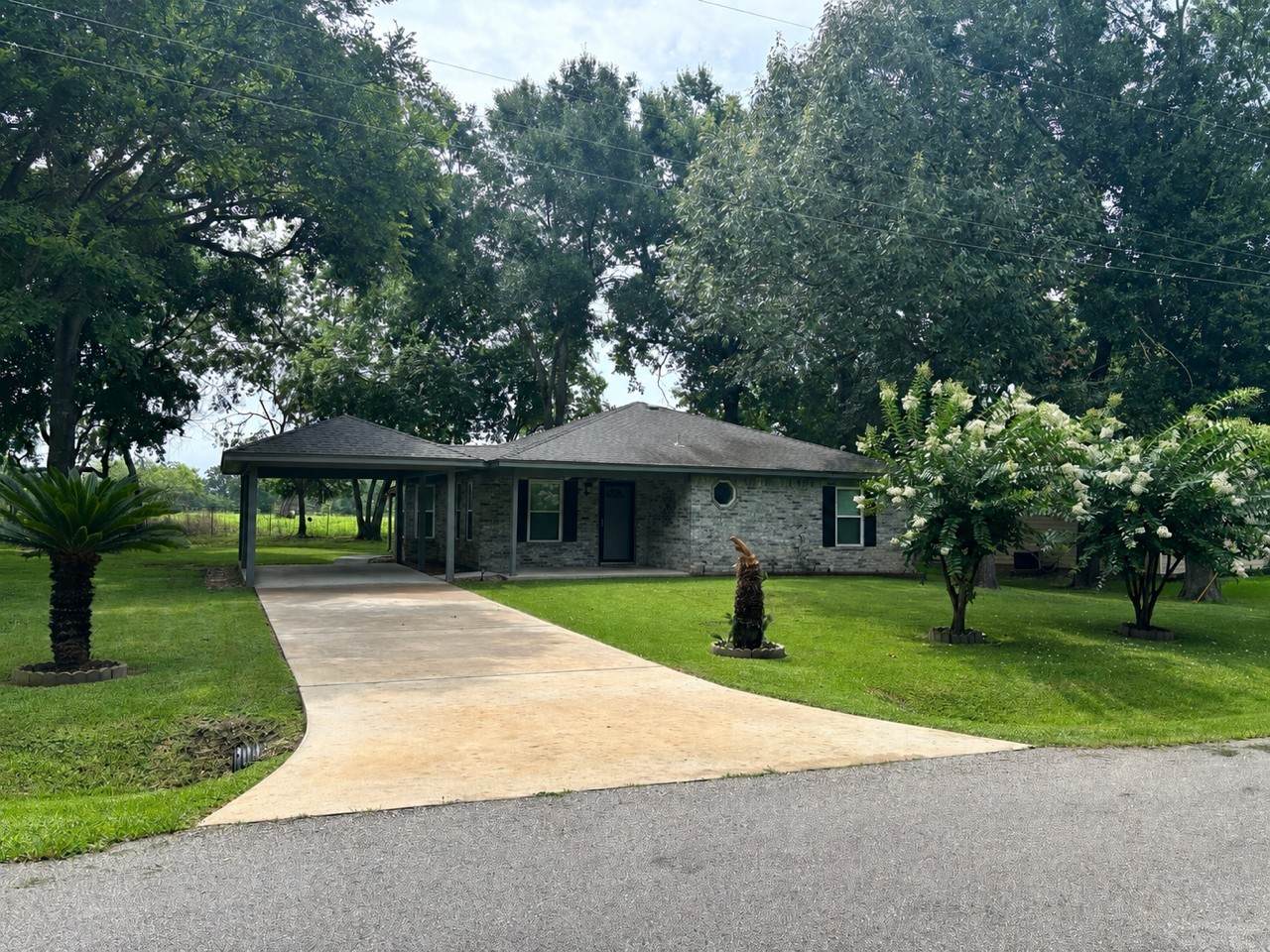 11950 Ridgeway Drive - Photo 1