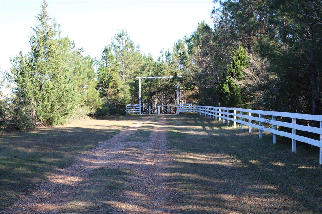 501 County Road 1096 - Photo 1