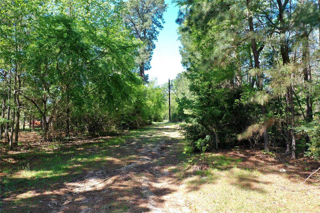 303 An County Road 2105 - Photo 1