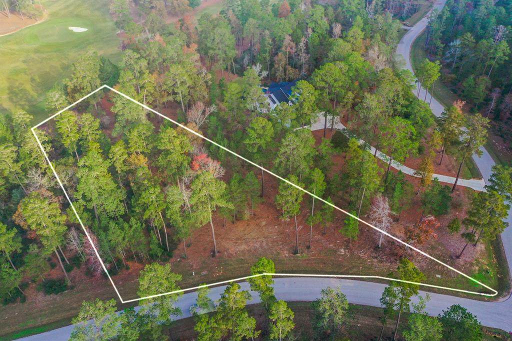 26106 Sandy Branch Way - Photo 1