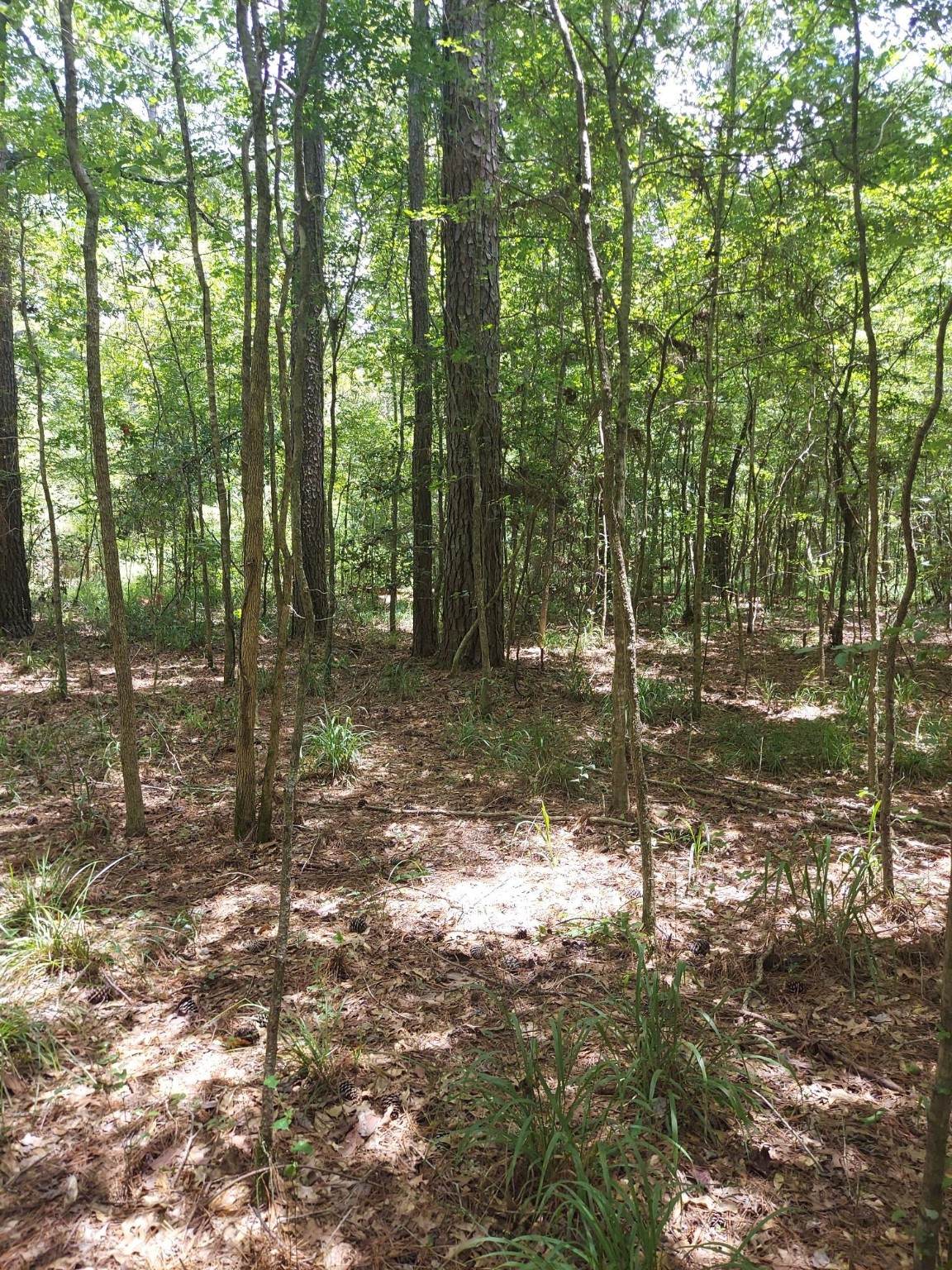 306 Deason Circle - Photo 1