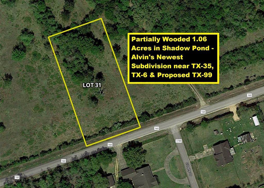 Lot 31 County Road 160 - Photo 1