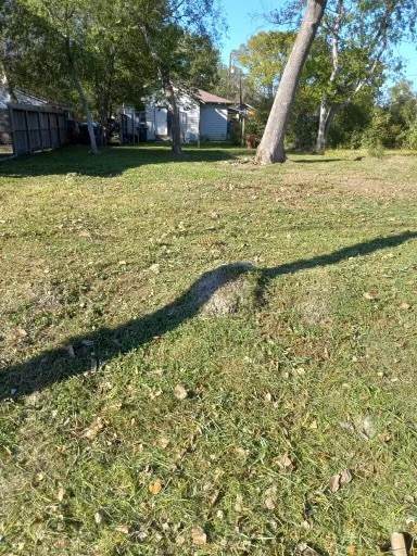 3107 Lelia Street - Photo 1