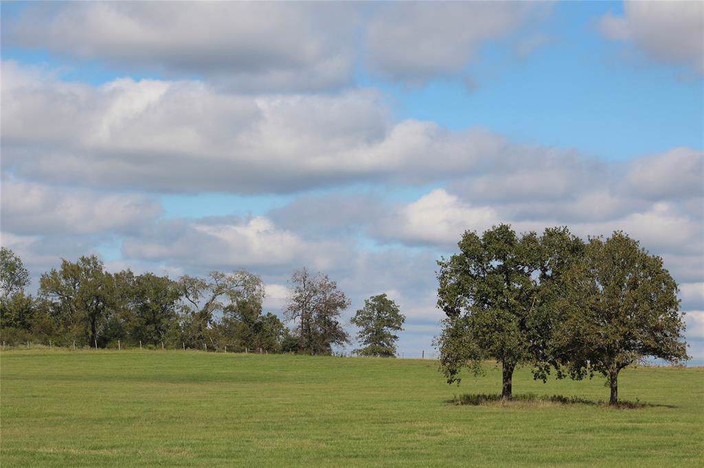 11680 Fm 1486 Road - Photo 1