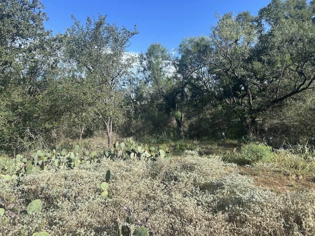 0 Glen Forest Drive - Photo 1