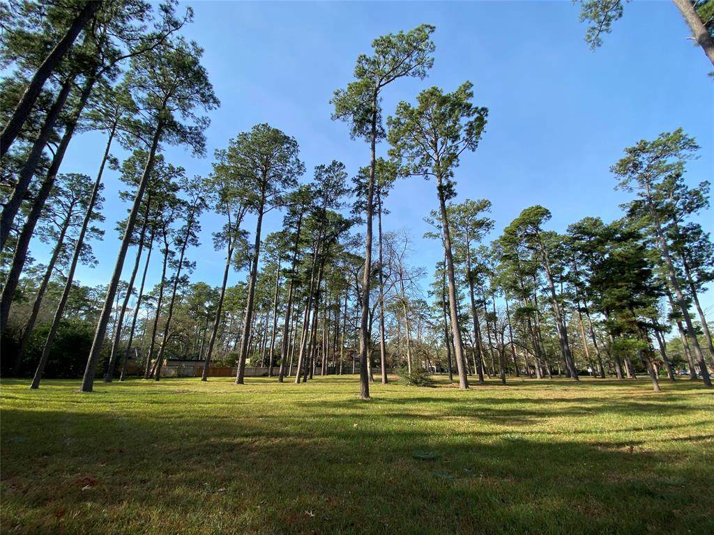 171 Radney Road - Photo 1