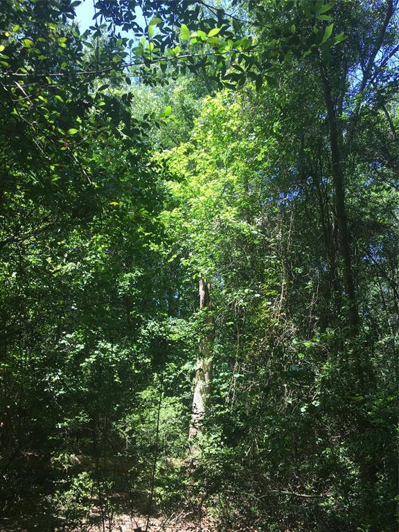 Lot 1F Lenze Road - Photo 1