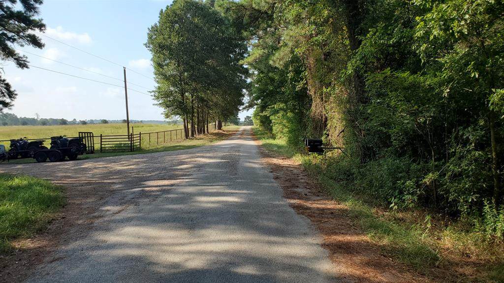 TBD-11A Mills Lane - Photo 1