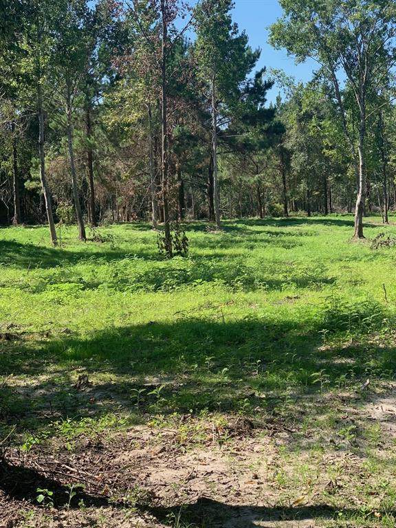 1067 County Road 137 - Photo 1