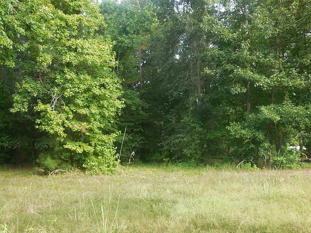 TBD 5 Harrell Cemetery - Photo 1