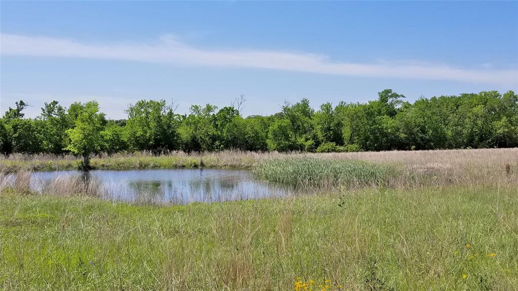 000 Willow Springs - Photo 1