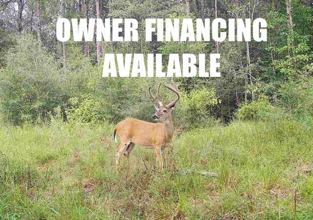 TBD State Hwy 87 - Photo 1