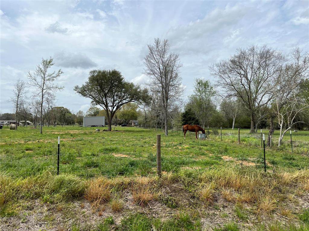 4419 Baron De Bastrop Street - Photo 1