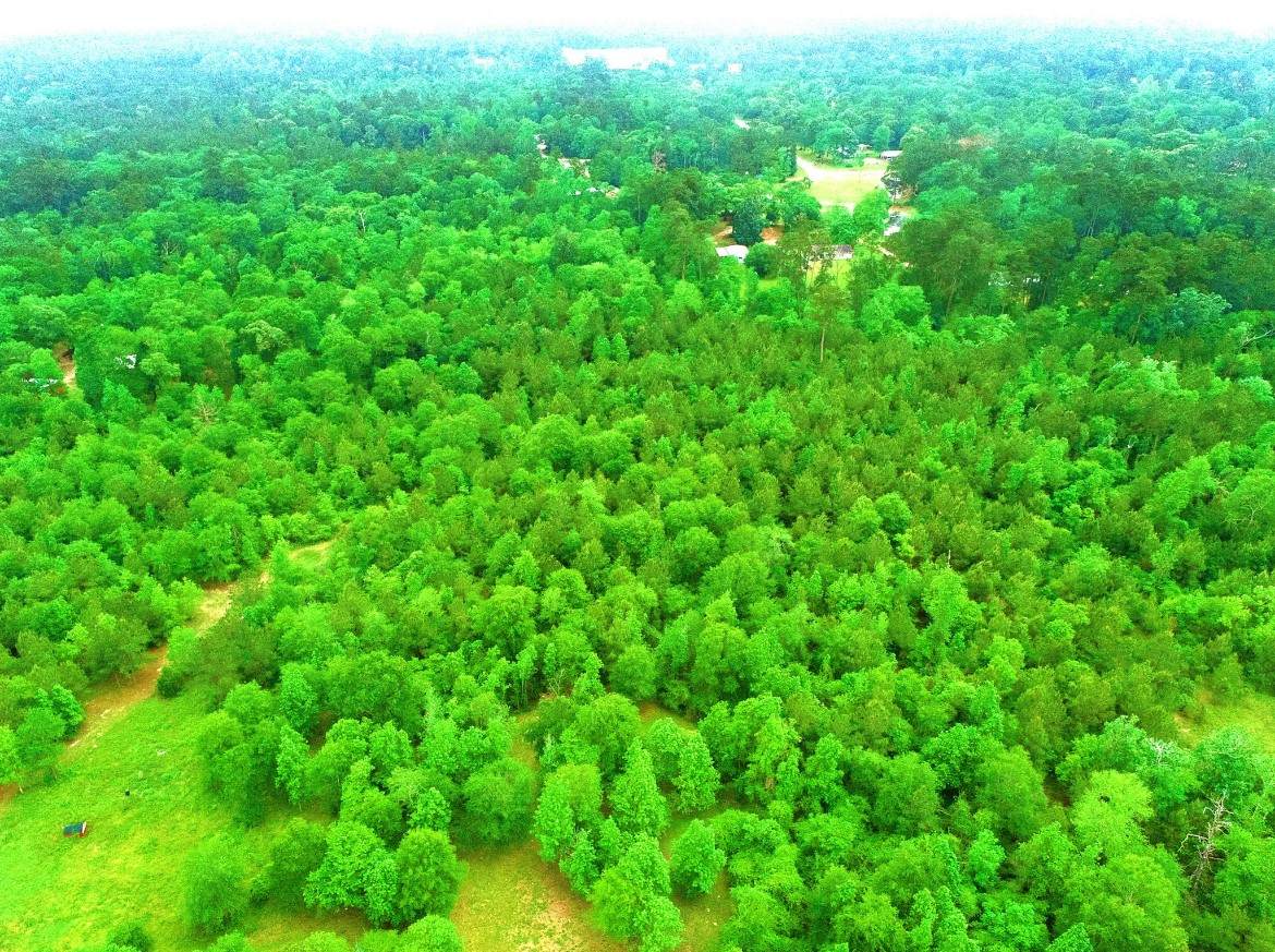 2401 W Geronimo Trl - Photo 1