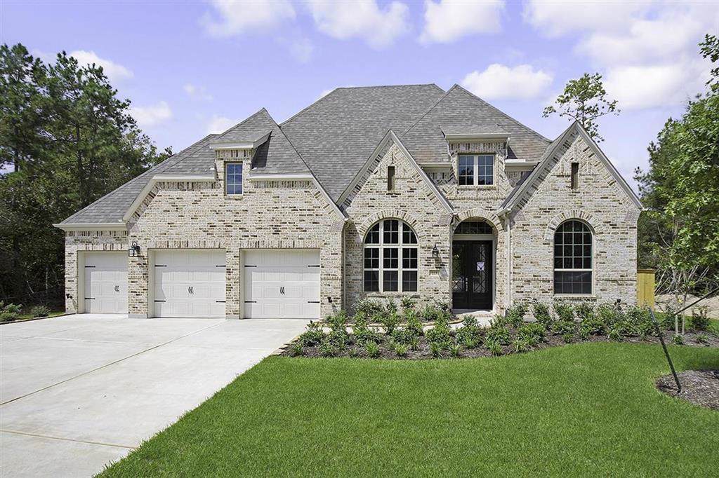 223 Calm Savanna Court - Photo 1