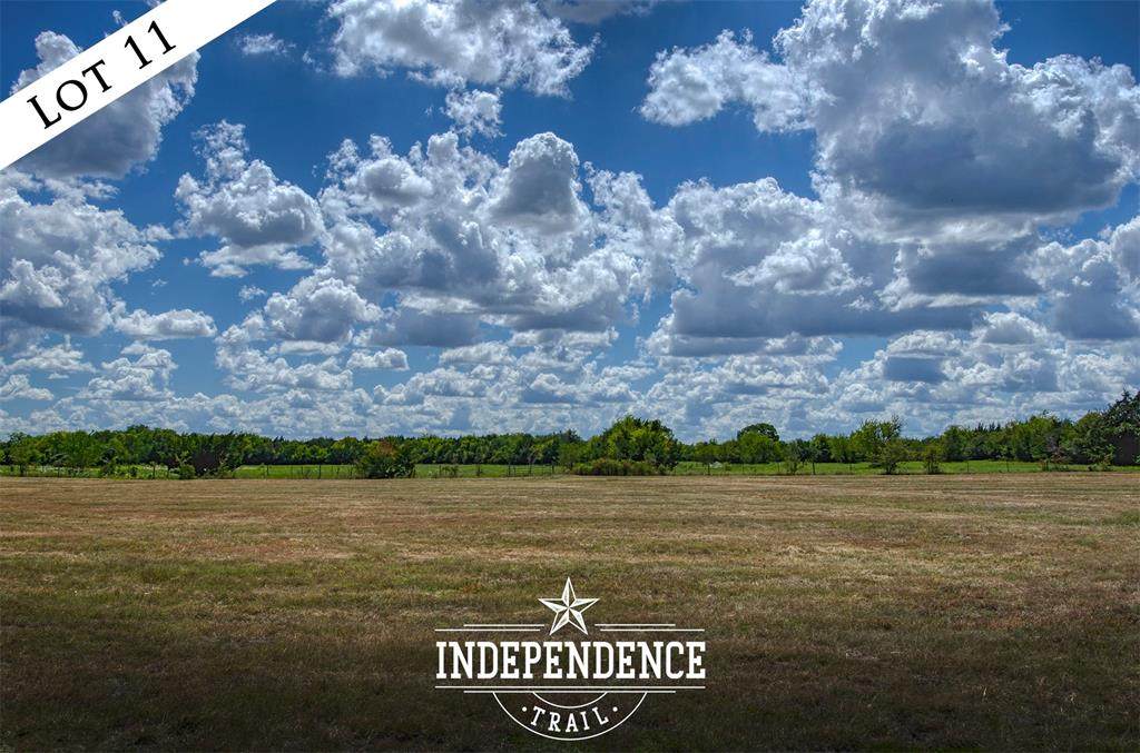 Lot 11 Independence Trail - Photo 1
