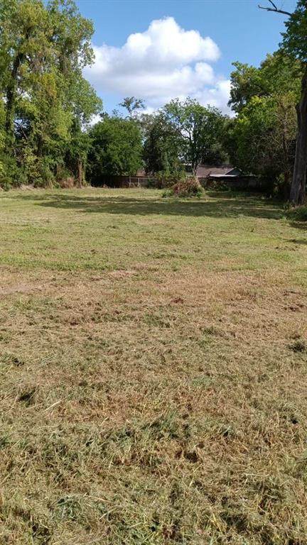 7123 Saint Louis Street - Photo 1