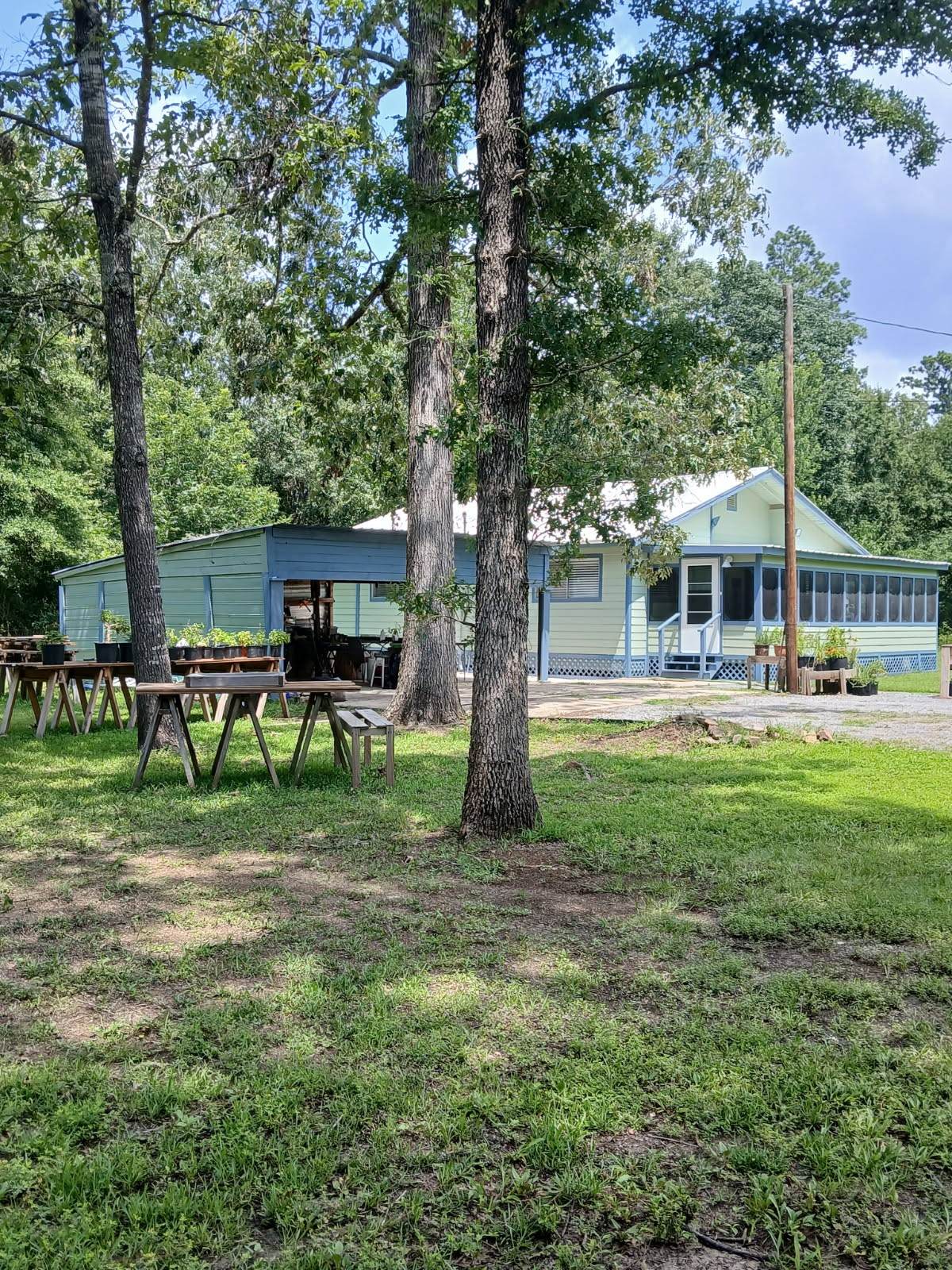 247 Warbler Lane - Photo 1