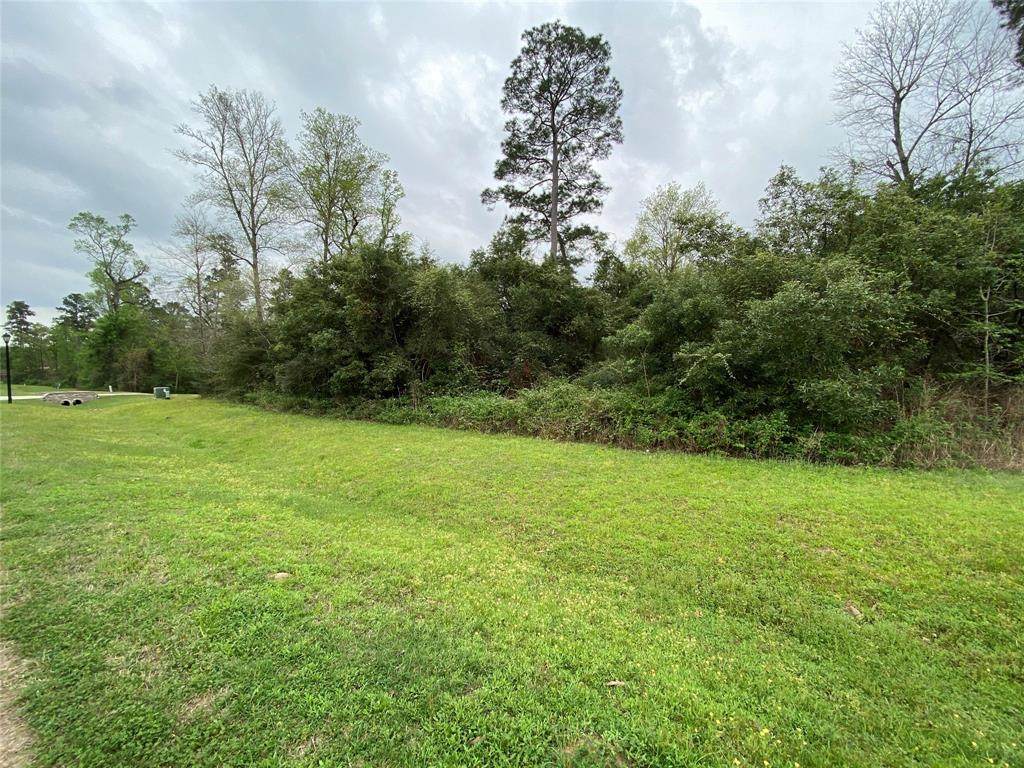 27350 Shady Hills Landing Lane - Photo 1 27350 Shady Hills Landing Lane - Photo 1
