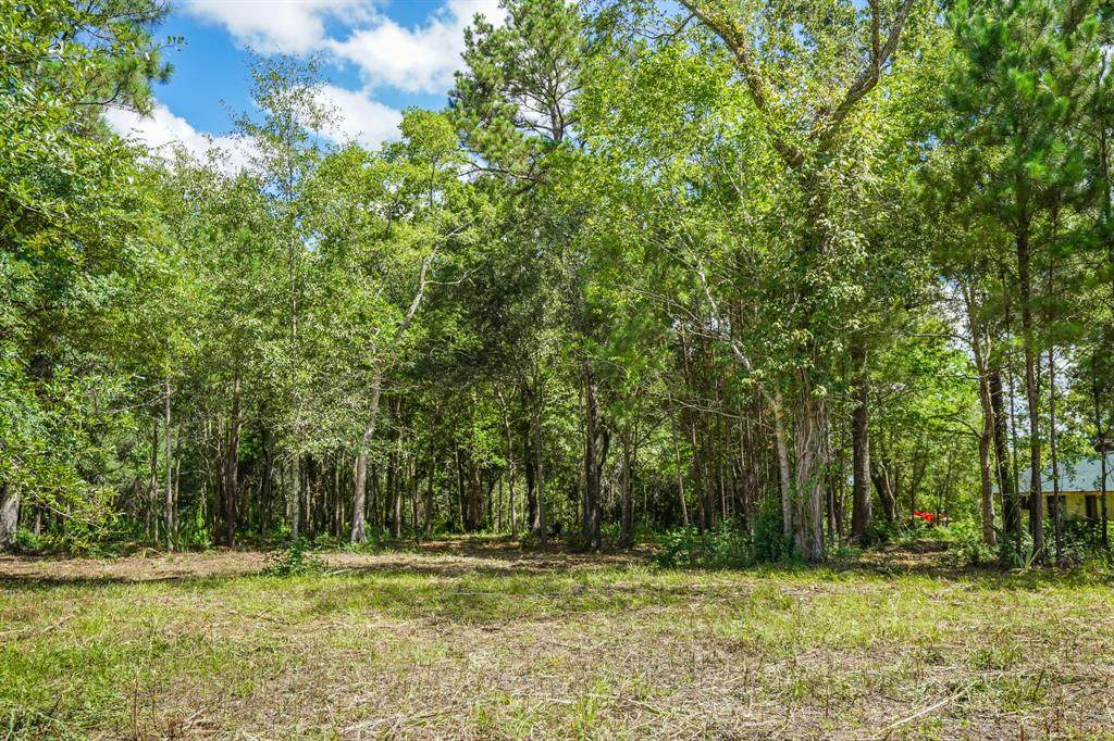 TBD Cr 417 Tx - Photo 1