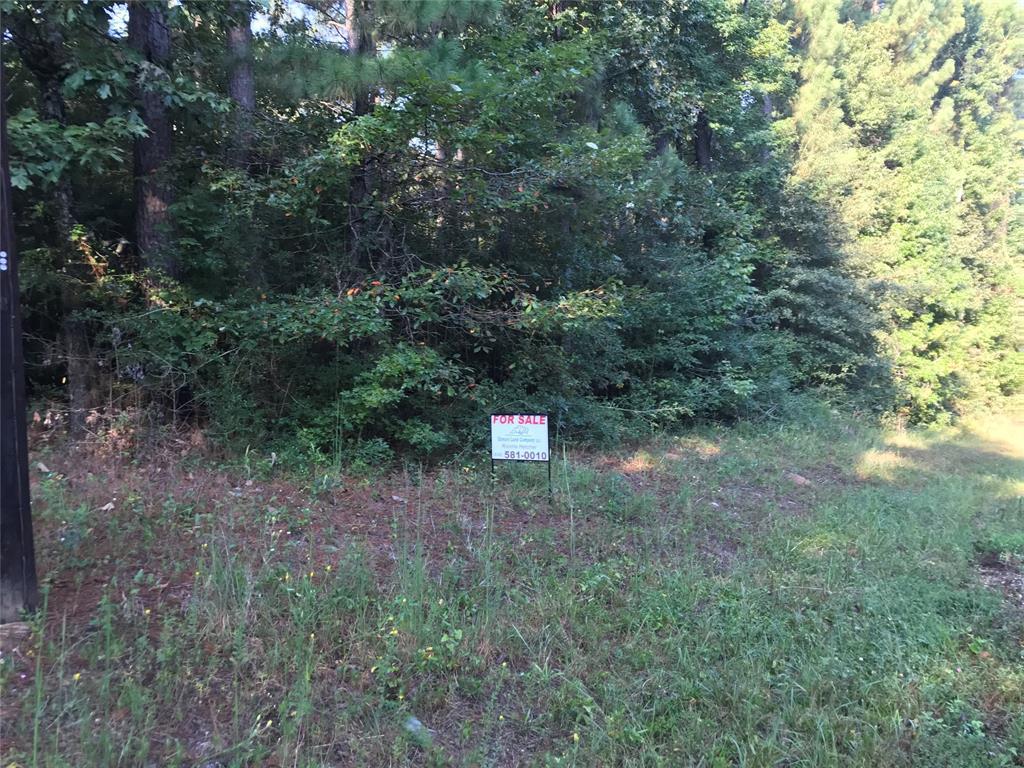 TBD Dogwood Lane - Photo 1