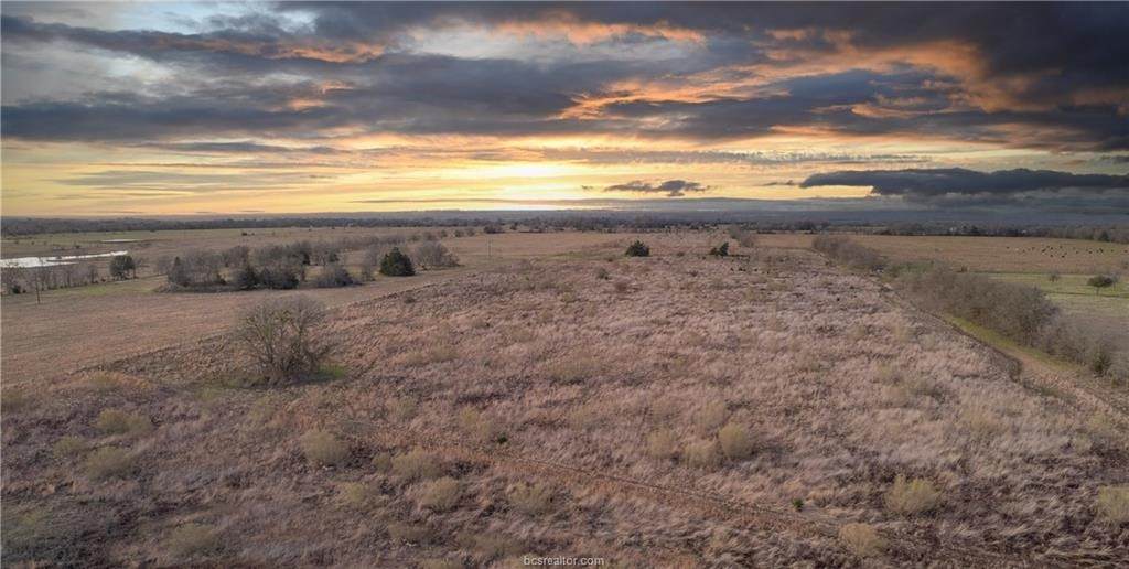 TBD County Road 216 - Photo 1