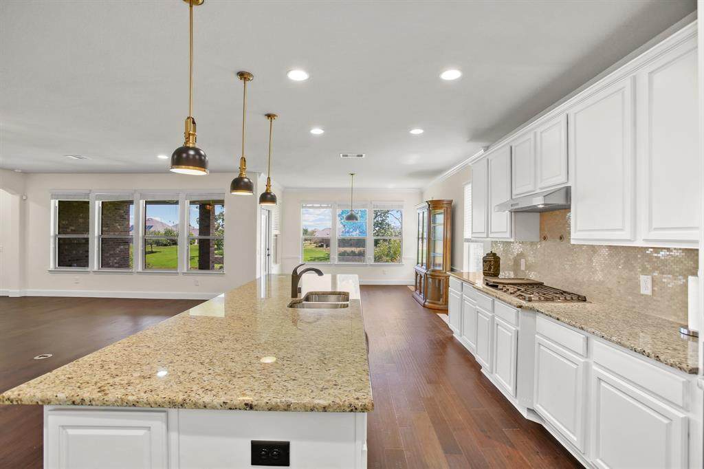 2919 Persimmon Grove - Photo 1