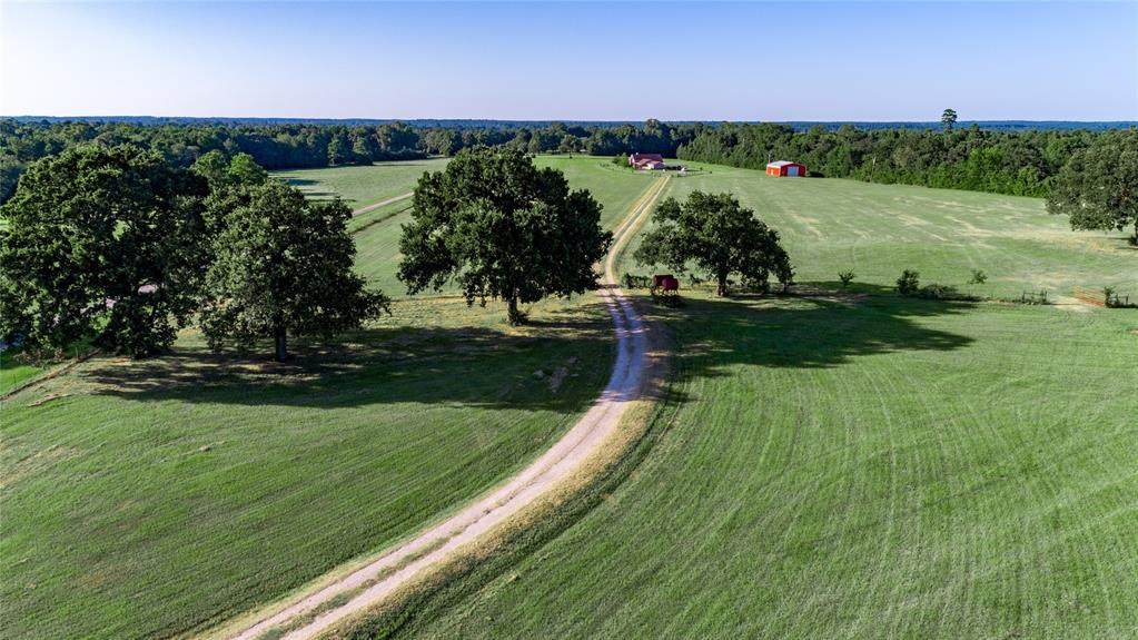 25878 Fm 1097 Road - Photo 1