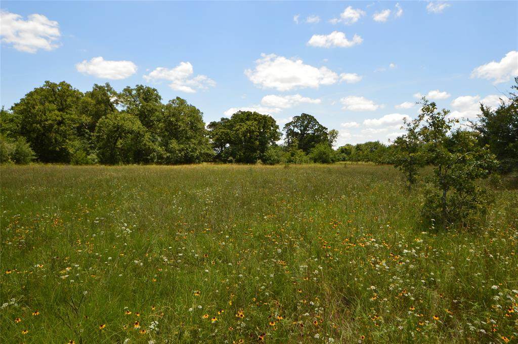 6559 Highway 21 - Photo 1