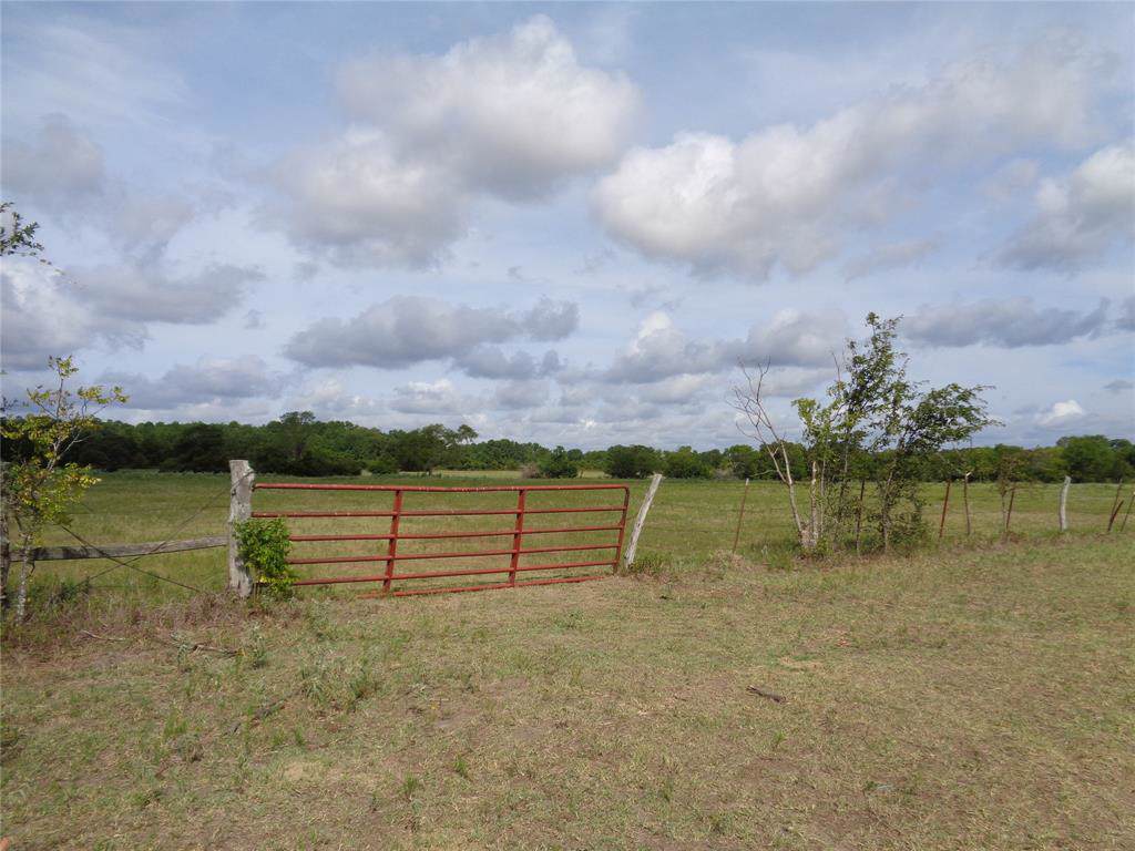 00 Horace Smith Road - Photo 1