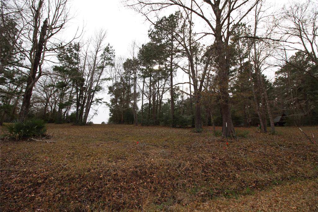 1 Hillside Court - Photo 1