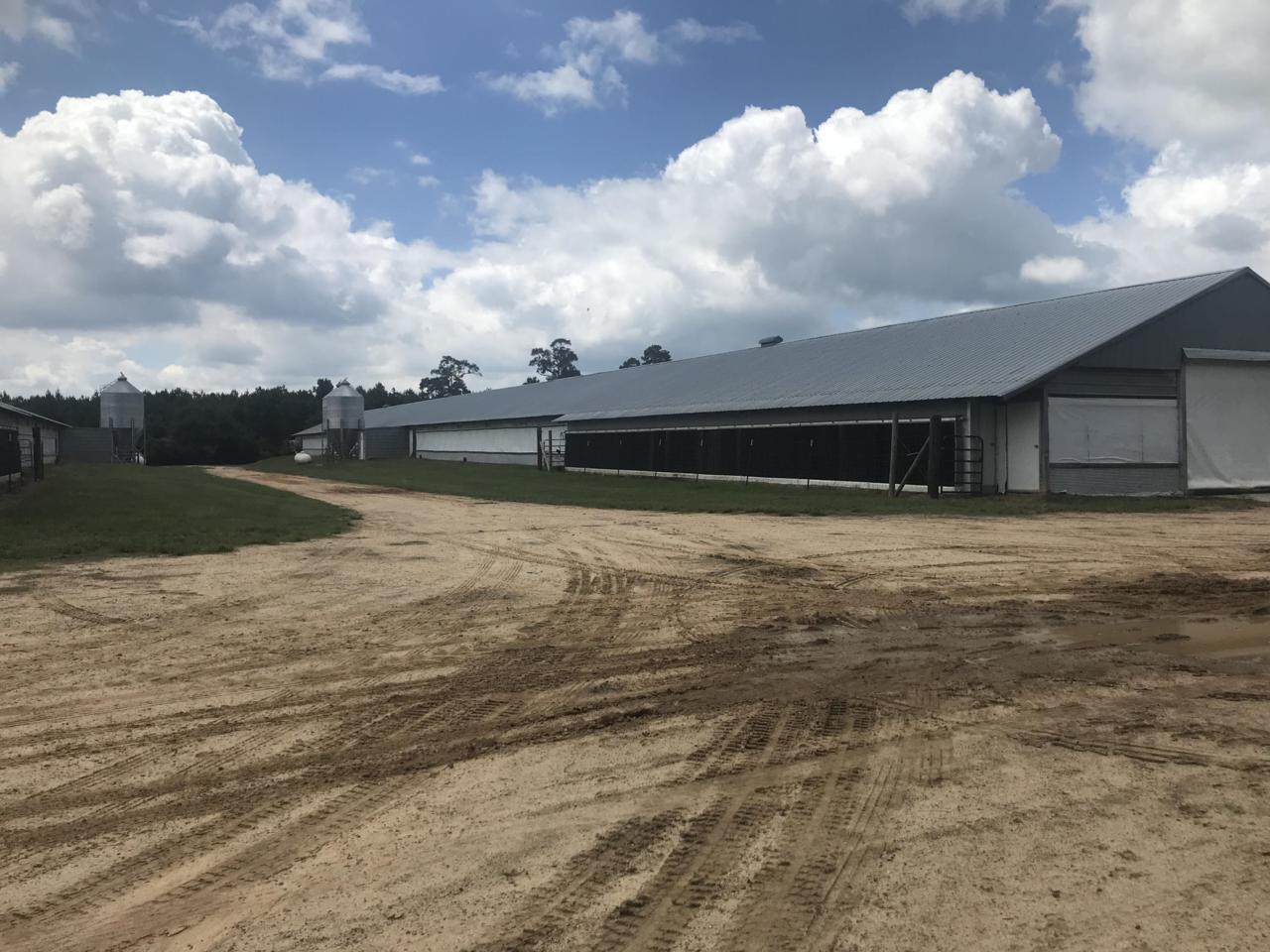17 Cleve Blackledge - Photo 1