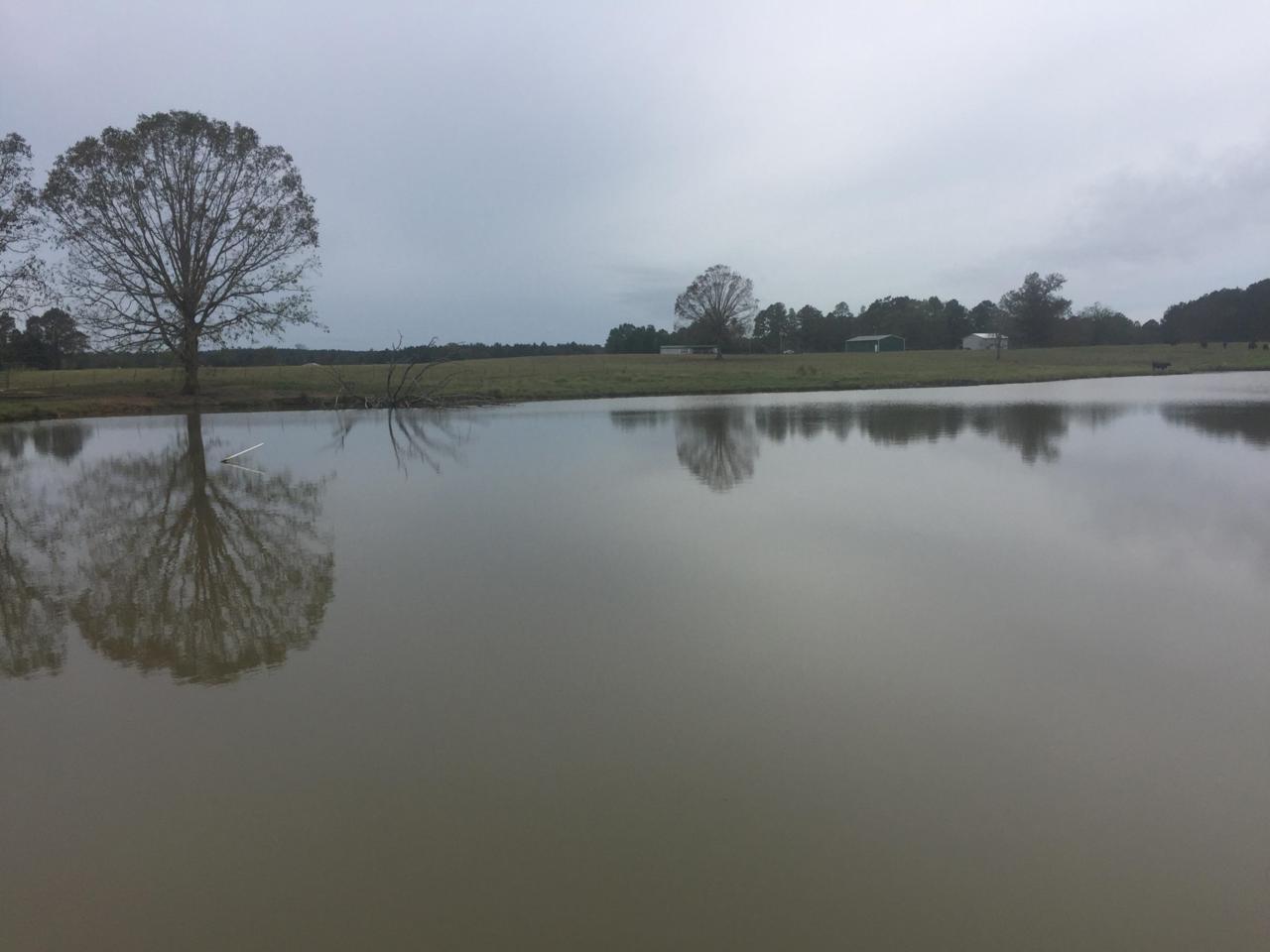 91 Will Best Rd. - Photo 1