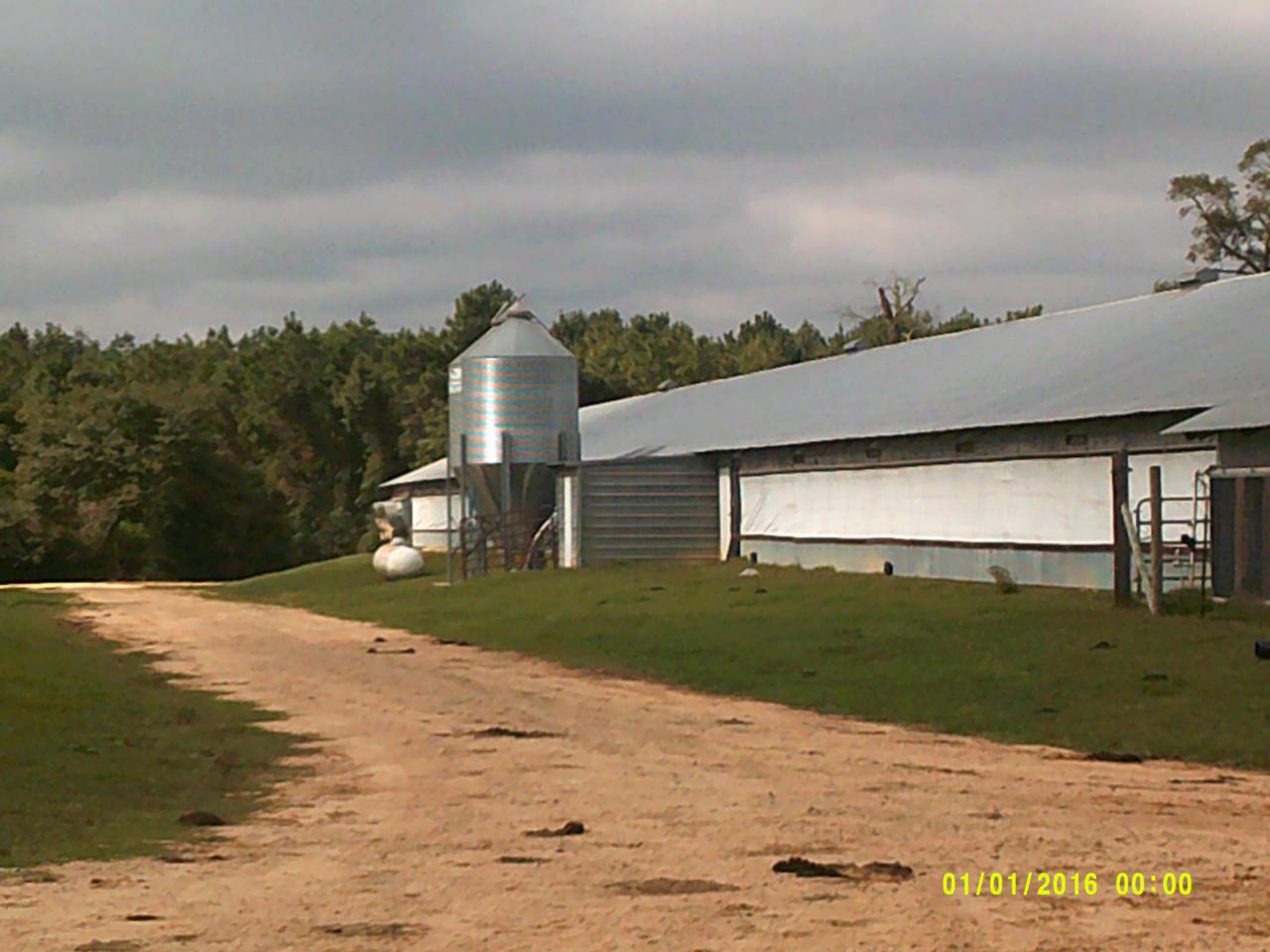 17 Cleve Blackledge Road - Photo 1