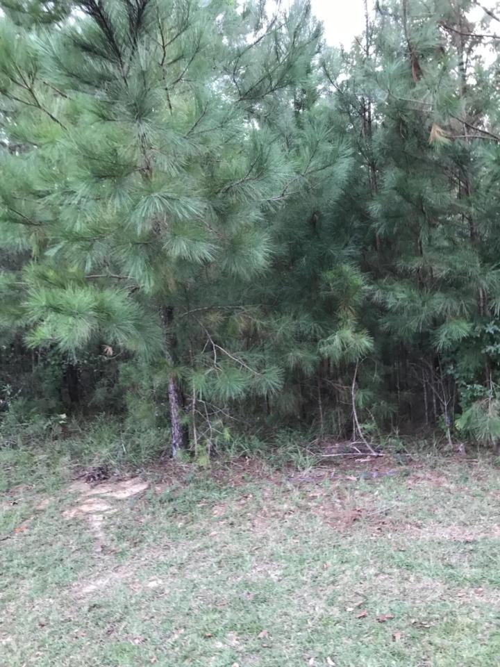 16 Magenta Ln. - Photo 1