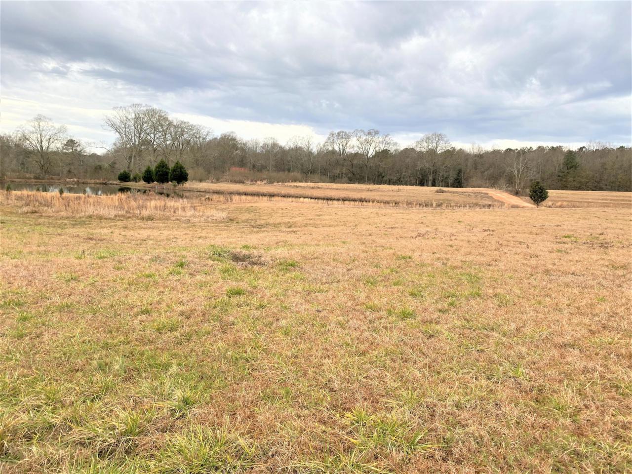 0000 Lee Ellzey Road - Photo 1