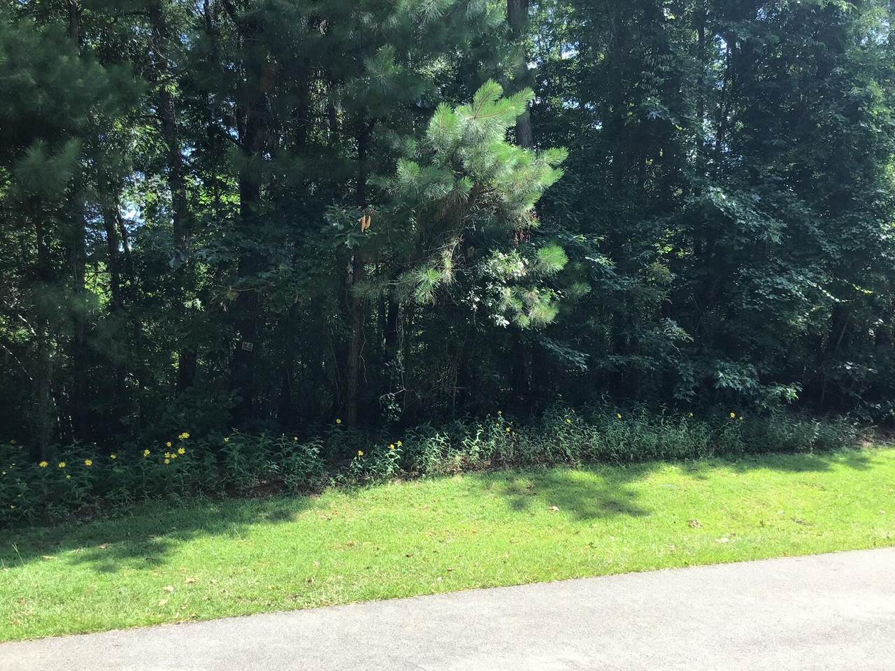 00 Cornerstone Rd. - Photo 1