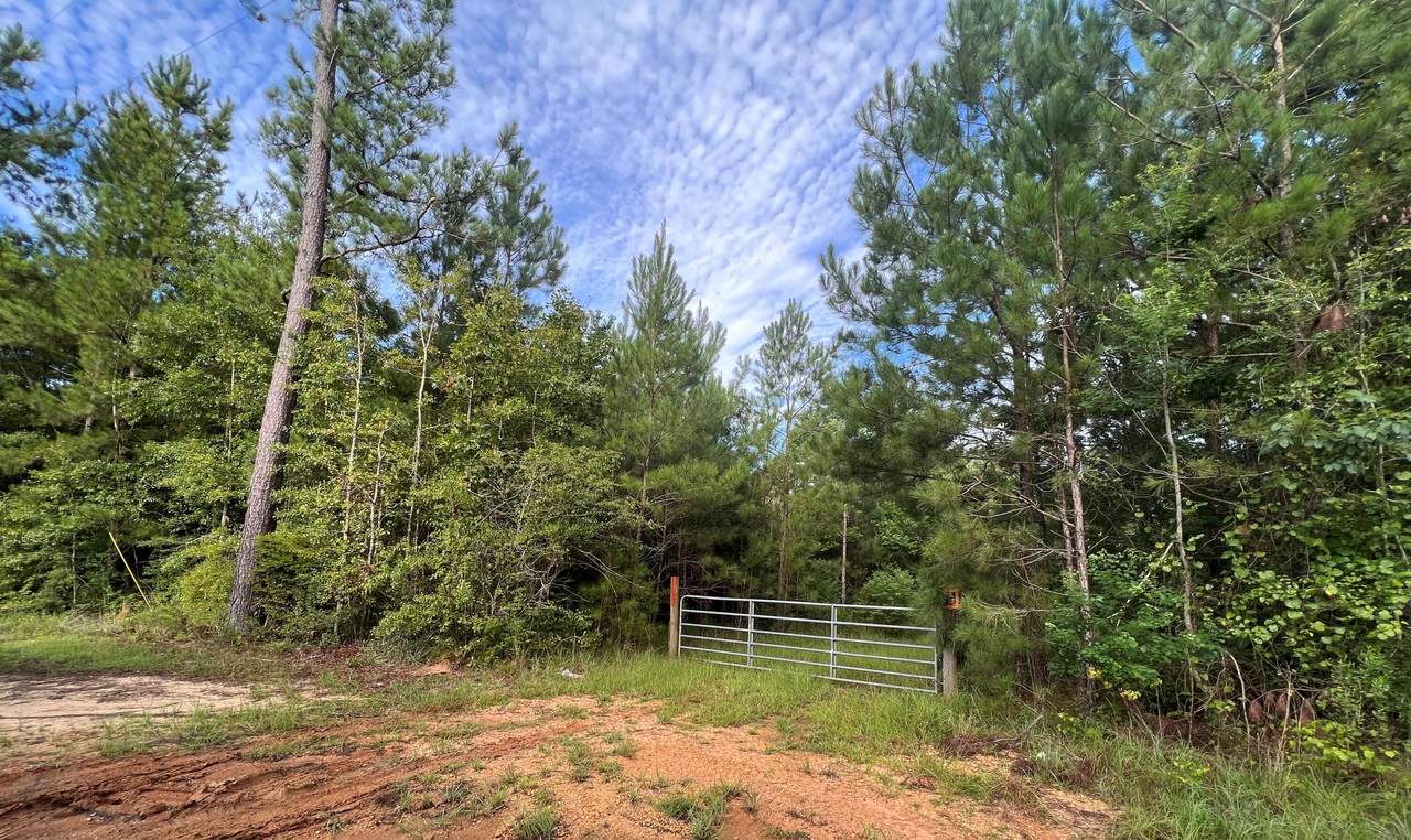 00 Dacetown Rd. - Photo 1